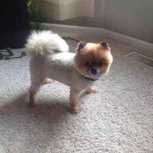 Meet your Posher, Mayra